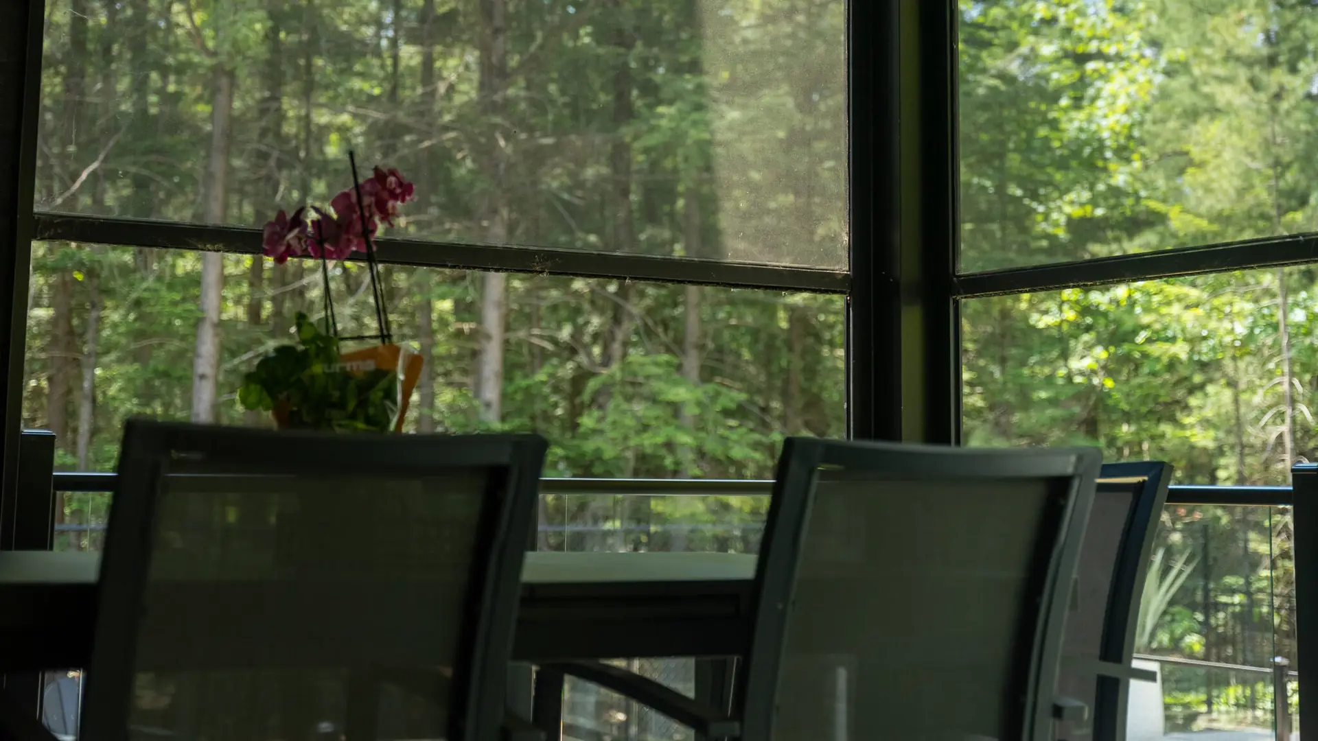 toiles_moustiquaires_Solace_pergolas